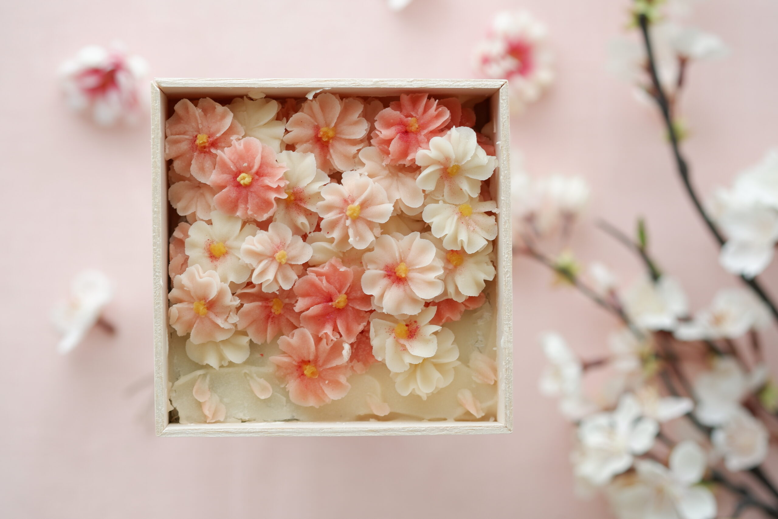 春の特別レッスン　桜のおはぎBOX始まります！